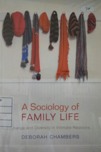 Image of A Sociology of Family Life