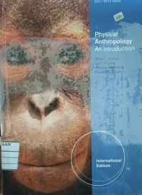Image of Physical Anthropology an Introduction: ED 2011-2012