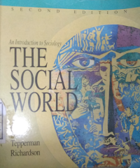 Image of The social world an introduction to sociology