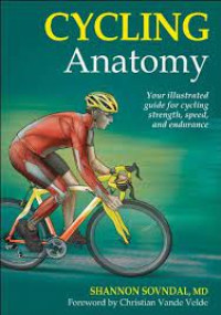 Cycling anatomy