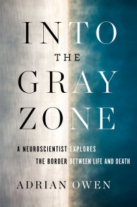 Image of Into The Gray Zone