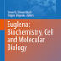 Image of Euglena: Biochemistry, Cell and Molecular Biology