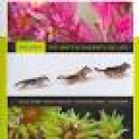 Image of Cell Biology and Genetics Biology: the unity and diversity of life, ED 13